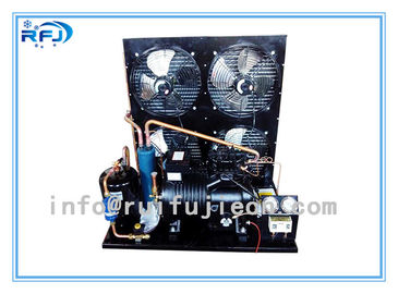 kopen De Condenserende Eenheden van de Waterkoelingskoeling, Horizontale koude ruimte condenserende eenheid Zwarte R22 4-30HP online manufacture