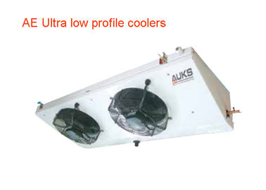 kopen DJ-3.4/20 de elektrische Koeler van de de Ammoniaklucht van het Ijzerlichaam zonder Water voor Koude Zaal Koelingseenheid online manufacture
