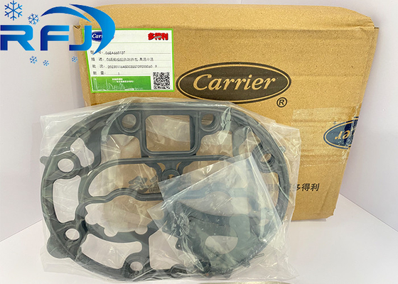 kopen Drager 06EA660137 Valve Plate Kit 06E Carlyle online manufacture
