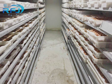kopen De verse Gang van de de Plaatontploffing van de Tonijn Kleine Tunnel in Koud het Contactcomité van Iqf van Diepvriezer Industrieel Zeevruchten online manufacture