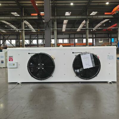 kopen DL20 Compacte luchtkoelerverdamper voor koude opslag online manufacture