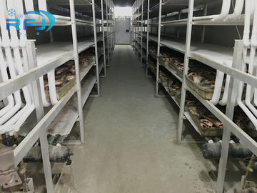 De Industriële Koude Zaal van de hitteisolatie -60~-0 Gradentemperaturen voor Vlees/Vissenopslag