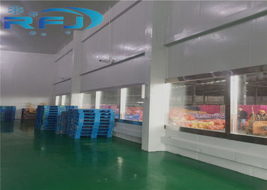 Grote Industriële Koude Zaal Copeland/Bitzer-Compressor met Grote Opslagcapaciteit