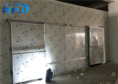 Vissen/Vlees/Kippen Koude Zaal de Dooscomité van de Diepvriezerevaporator de Schroefcompressor van Bitzer