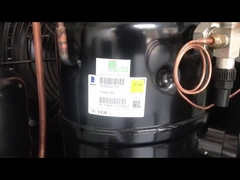 Tecumseh-compressor-eenheid voor vriezer